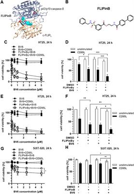 Targeting caspase-8/c-FLIPL heterodimer in complex II promotes DL-mediated cell death